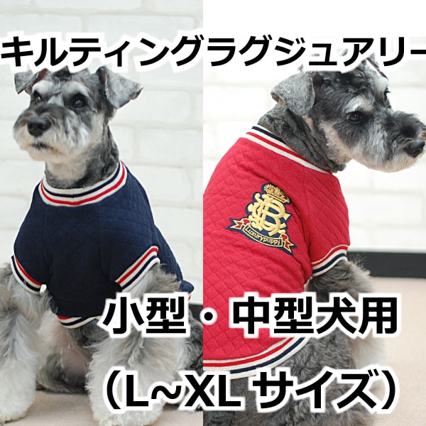 �������åɥå������� ����ƥ��󥰥˥åȥ饰���奢�꡼ L��XL�����������淿���ѡ����ߥ�����