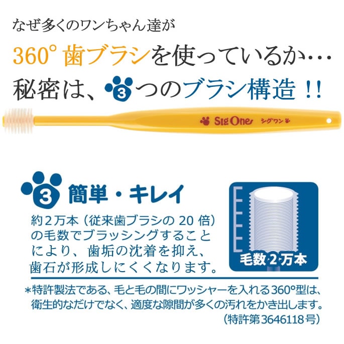 �ӥХƥå����ڥåȻ��֥饷���������Ķ�������ѻ��֥饷