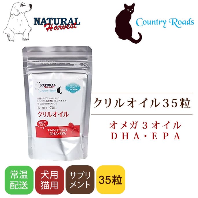 ǭѡץȡ 륪 35γꡡ̵סʥϡ٥ȡȥ꡼