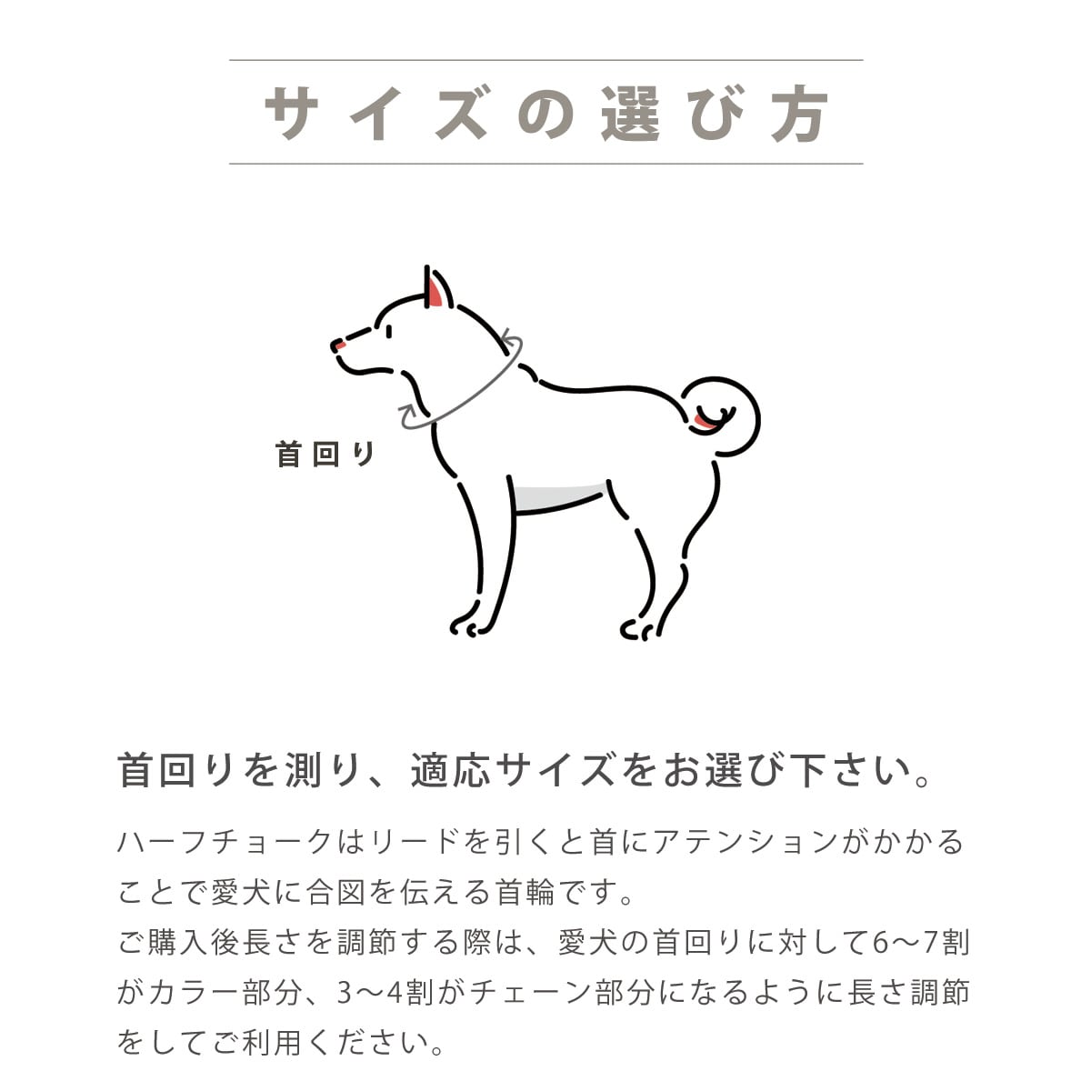 �淿���ѥϡ��ե��硼����ASHU�����饤��W���ϡ��ե��硼�����꡼��M������