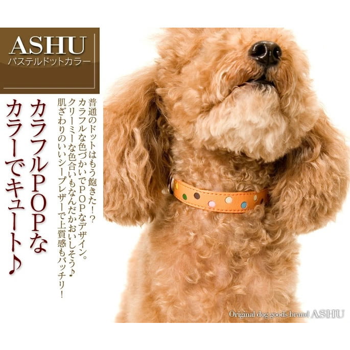 ѼءASHUѥƥɥåȥ顼 SBB