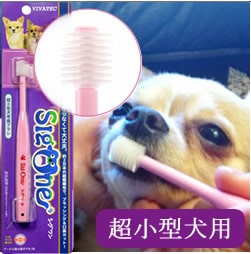 �ӥХƥå����ڥåȻ��֥饷���������Ķ�������ѻ��֥饷