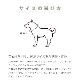 �淿���ѥϡ��ե��硼����ASHU�����饤��W���ϡ��ե��硼�����꡼��M������
