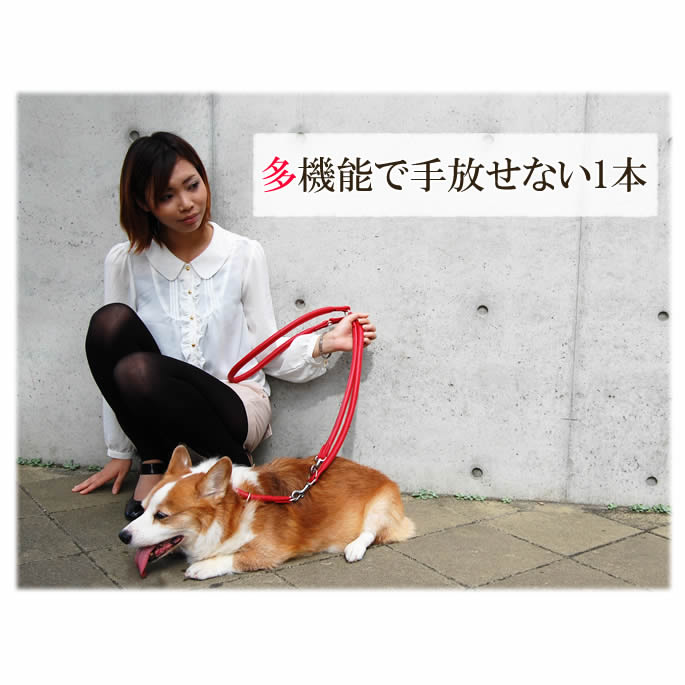 �������ѥ꡼�ɡ�ASHU�����եȥ쥶����3Way �꡼�ɡ�����������