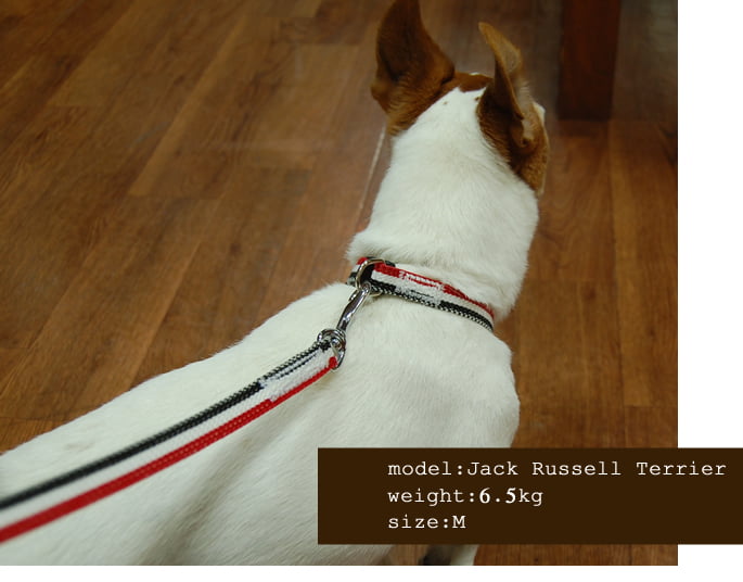 �淿���Ѽ��ء�ASHU���ȥꥳ�����롡�����顼����������M BR