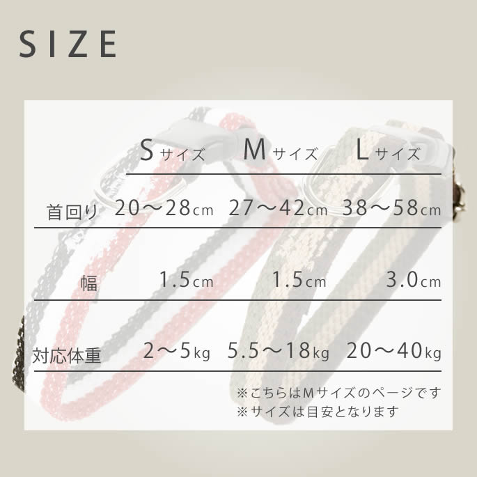 �淿���Ѽ��ء�ASHU���ȥꥳ�����롡�����顼����������M BR