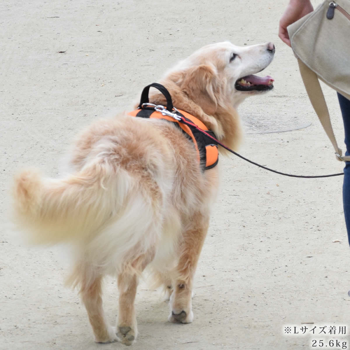 �緿���ѥϡ��ͥ��ü��ͥ�������å����ϡ��ͥ���������XL