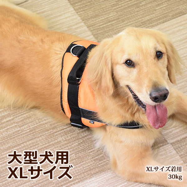 �緿���ѥϡ��ͥ��ü��ͥ�������å����ϡ��ͥ���������XL