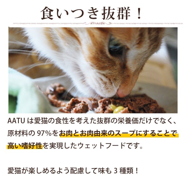 AATU アートゥー｜キャット ターキー＆グース 85g17袋セット ウェット