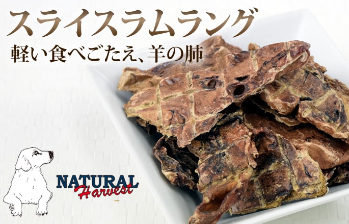 ������ �����| �ʥ�����ϡ��٥��� ����ġå��饤������� 80g