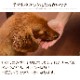 �����Ѥ���ġ������㤱�å���60g����ǭ���ѡ����㤱�ä�