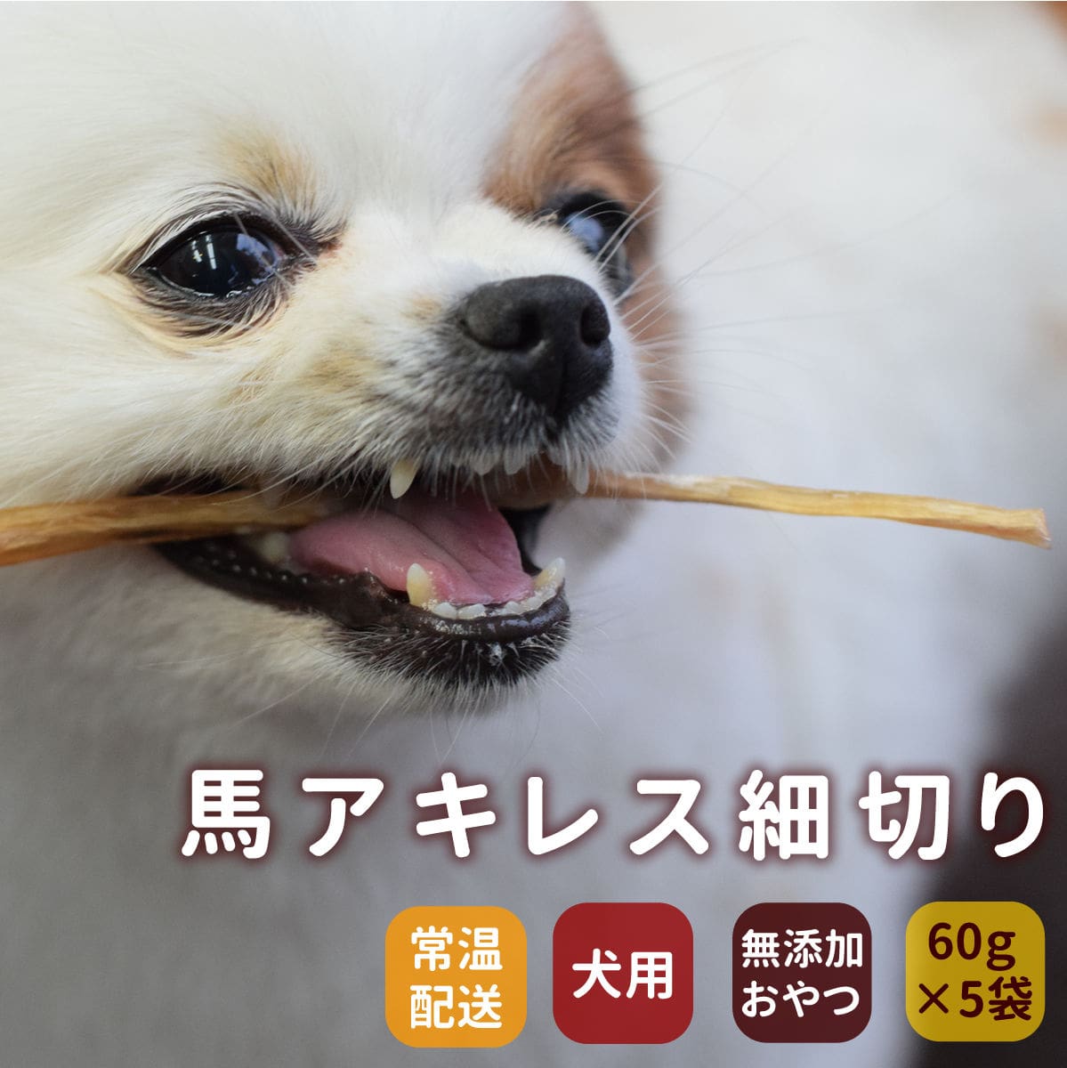 ���ѥ��㡼�������ϥ����쥹���ڤ�60g �� 5�ޥ��å� �� ̵ź�å��㡼����