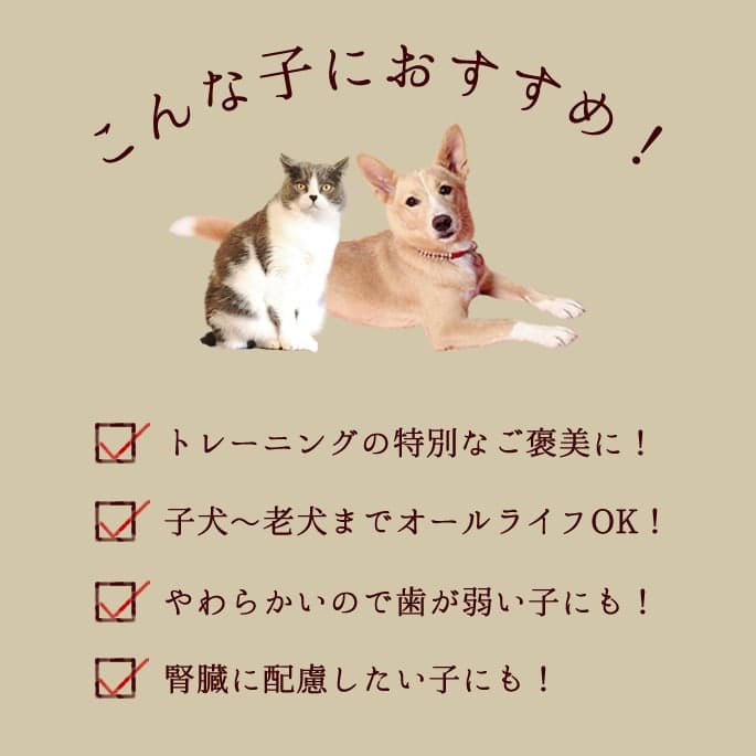 ��6������ �ȤäƤ����ΤҤȤ����ƥ꡼�� ������ 100g 5��+1�ޥ��å� �������