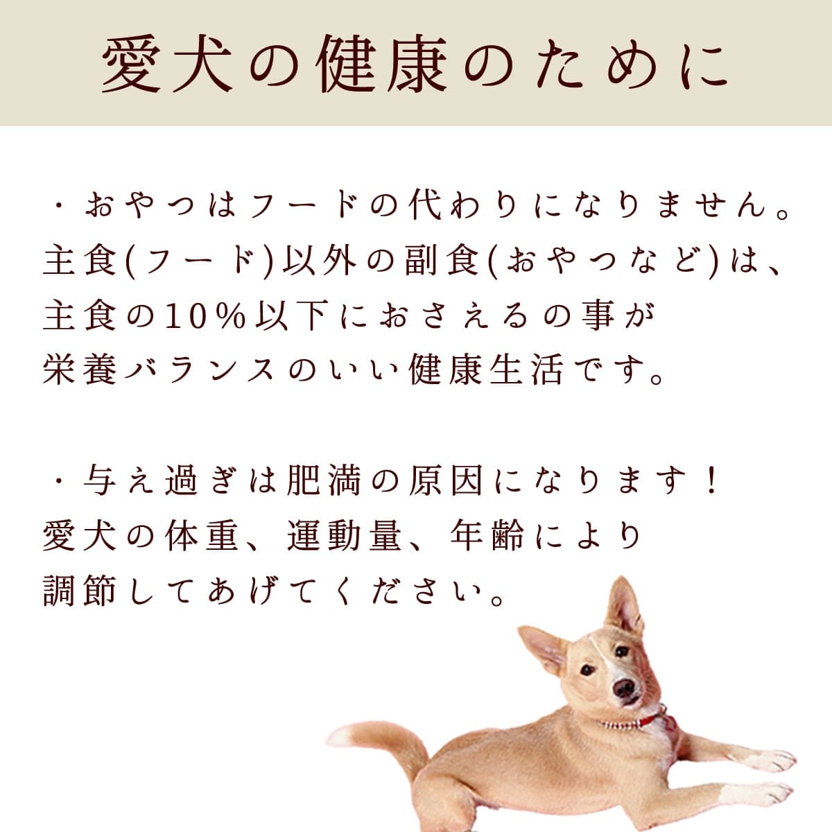 ��6������ �ȤäƤ����ΤҤȤ����ƥ꡼�� ������ 100g 5��+1�ޥ��å� �������