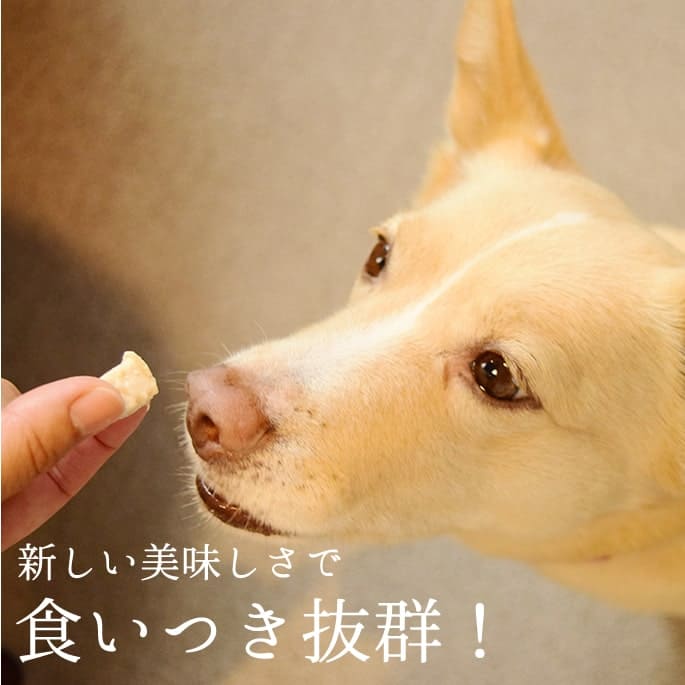 ��6������ �ȤäƤ����ΤҤȤ����ƥ꡼�� ������ 100g 5��+1�ޥ��å� �������