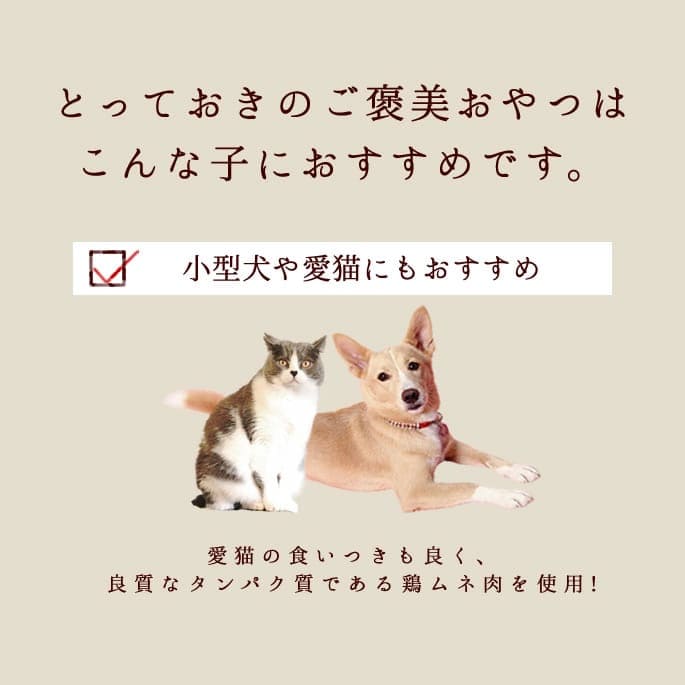 ��6������ �ȤäƤ����ΤҤȤ����ƥ꡼�� ������ 100g 5��+1�ޥ��å� �������
