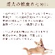 ��6������ �ȤäƤ����ΤҤȤ����ƥ꡼�� ������ 100g 5��+1�ޥ��å� �������