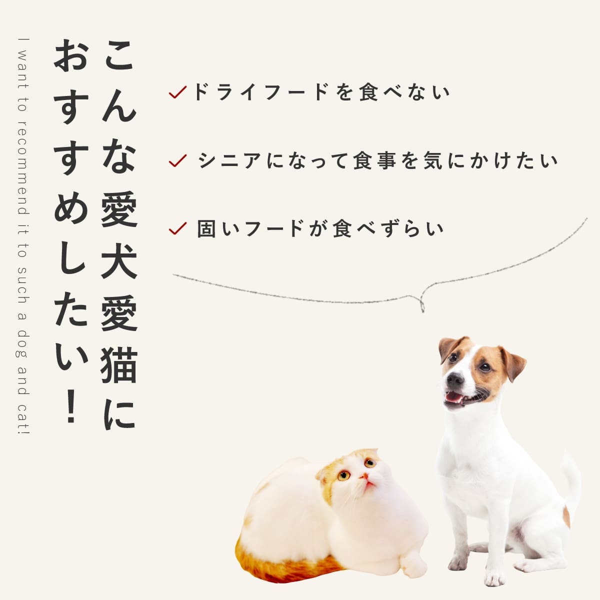 ������ ���ꤴ�Ϥ� �������Υ��꡼��ѥ��� 6��/12��/24��/���å� �ڥϥ���ɥ��࿩Ʋ�ۡ������ء�