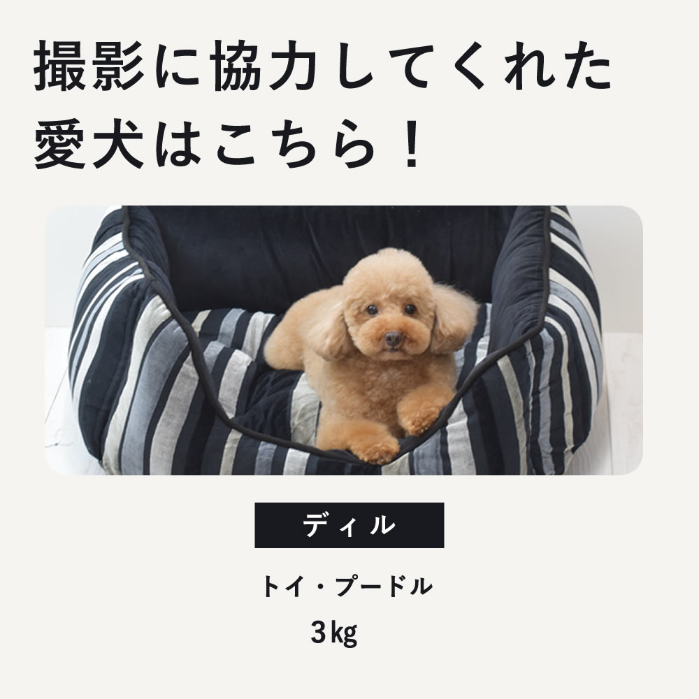  ѥ٥å ٥٥åɥȥ饤ץ٥å M/L ֥å ڥΥե