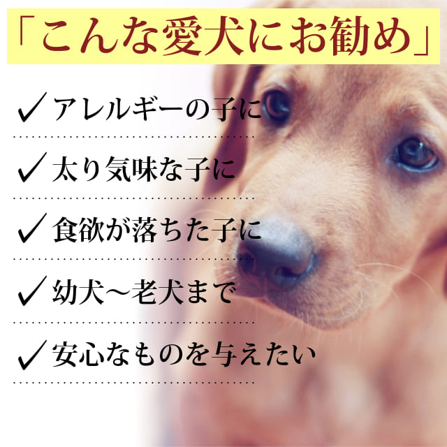 ���� �����å������� ���С��������꿩�ˤ��a0023��