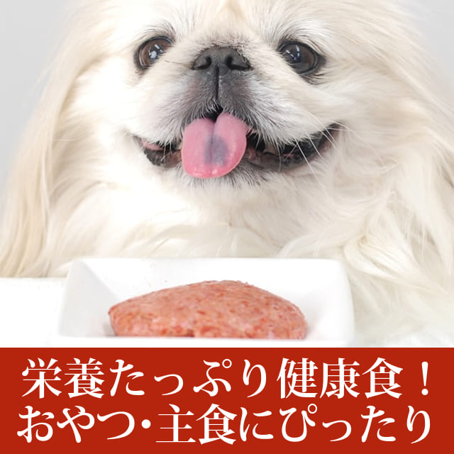 ���� �����å������� ���С��������꿩�ˤ��a0023��