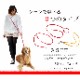 �淿���ѥ꡼�ɡ�ASHU�����եȥ쥶����3Way �꡼�ɡ���������M