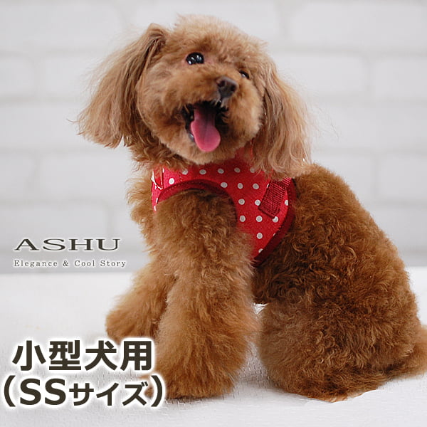 ASHU�������ϡ��ͥ� ��� SS������(Ķ��������)�ڥ꡼�ɤ�������