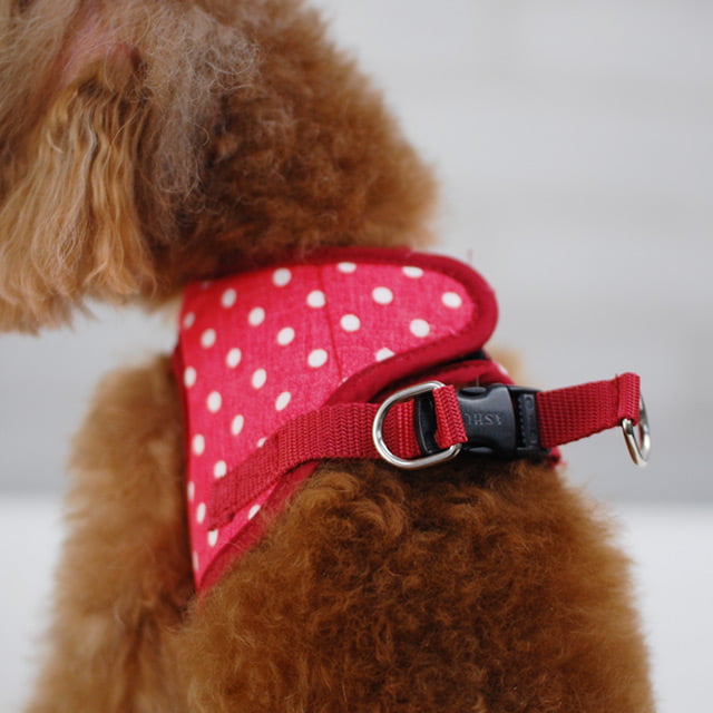 ASHU�������ϡ��ͥ� ��� SS������(Ķ��������)�ڥ꡼�ɤ�������