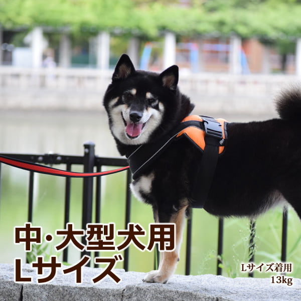 桦緿ѥϡͥüͥåϡͥL