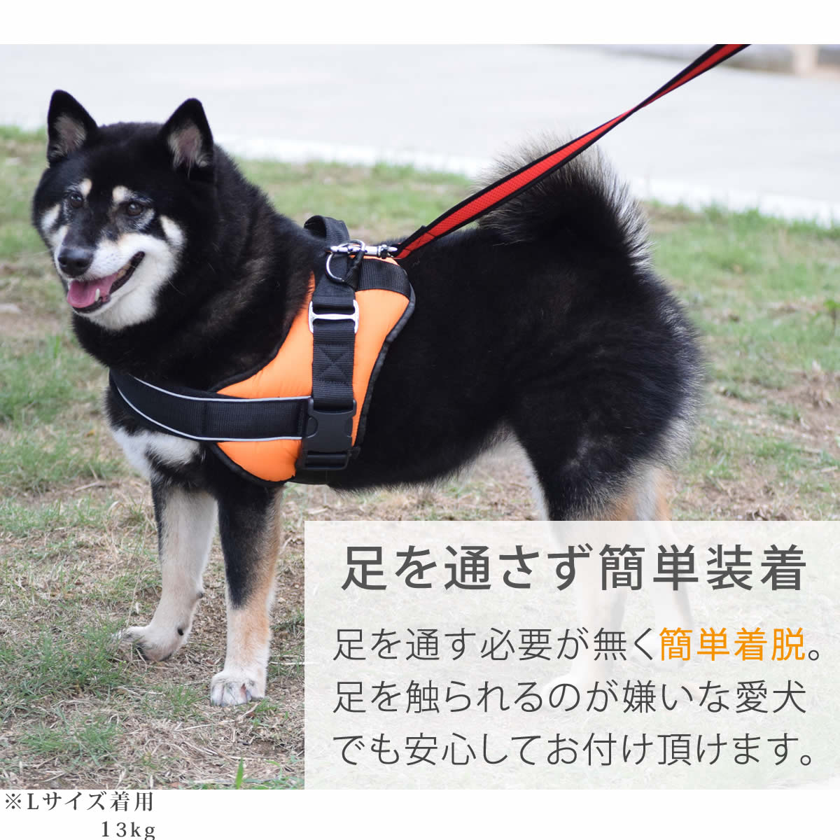 中・大型犬用ハーネス｜首に優しいクッションハーネス サイズL
