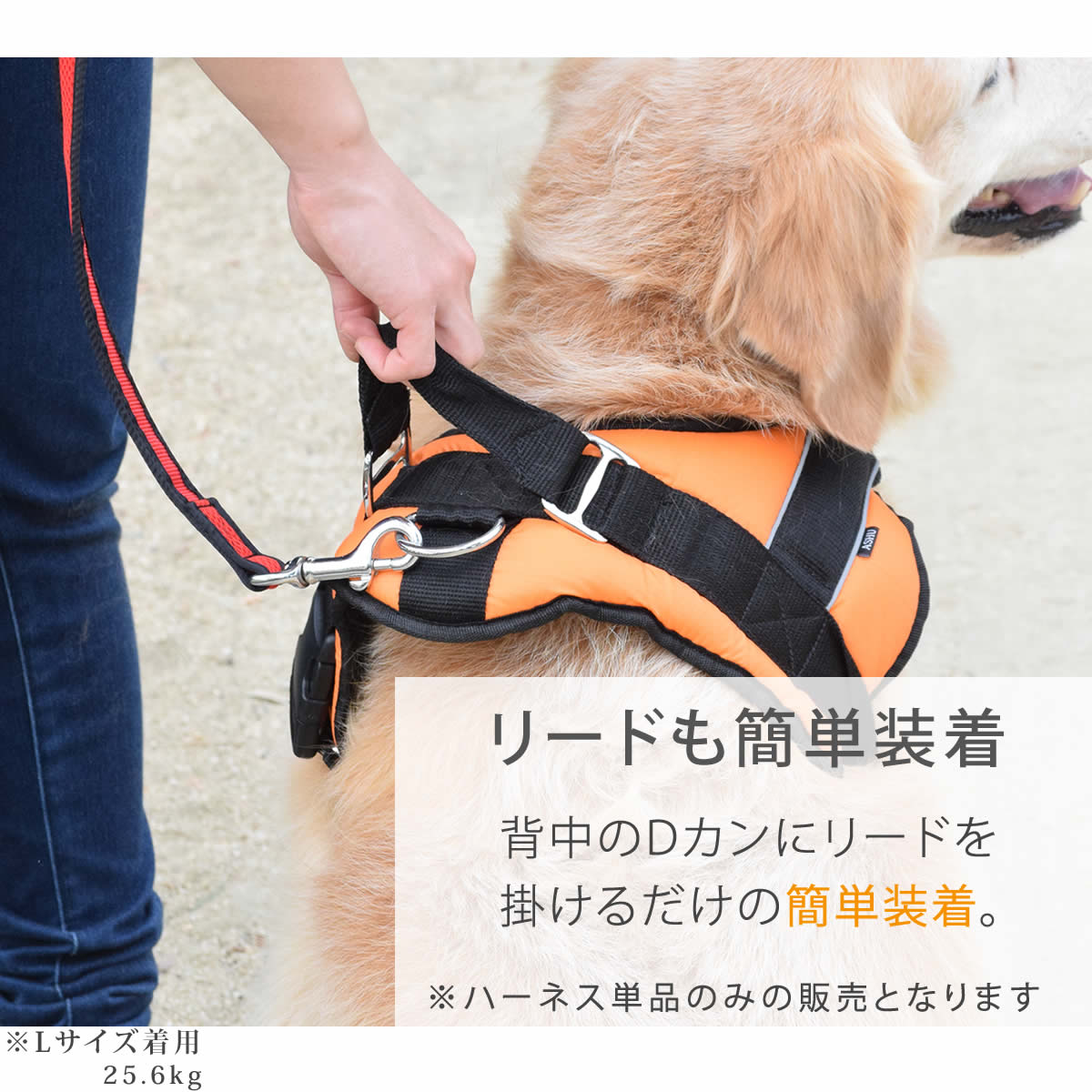 Lサイズ 犬用ハーネス ソフトクッション付き 楽天市場】犬用ハーネス 【4dox コンフォートプラスハーネス L
