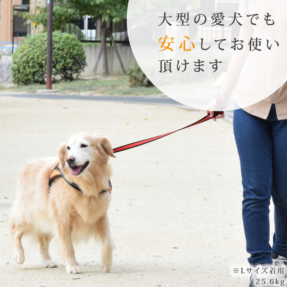 桦緿ѥϡͥüͥåϡͥL