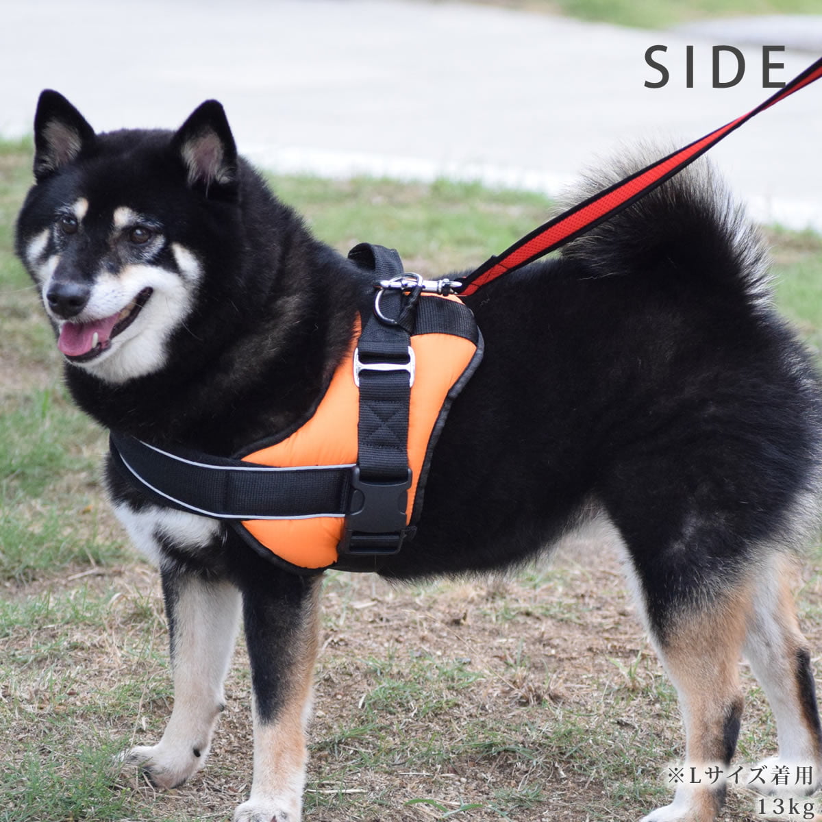 桦緿ѥϡͥüͥåϡͥL