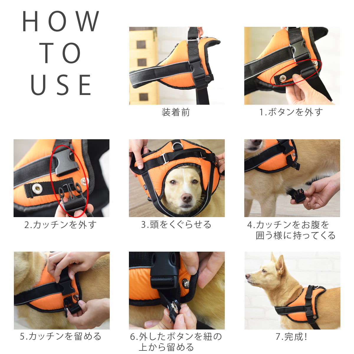 桦緿ѥϡͥüͥåϡͥL