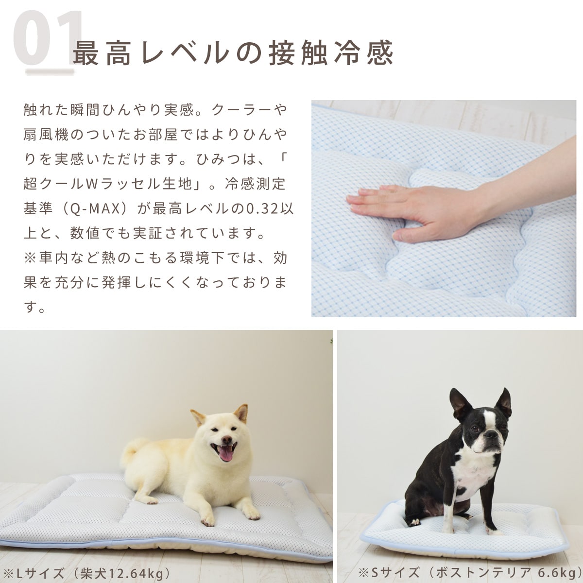 ڰǭѡĶWå륦å֥ޥå  M 7050 