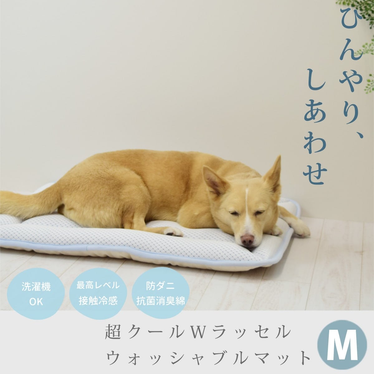 ڰǭѡĶWå륦å֥ޥå  M 7050 