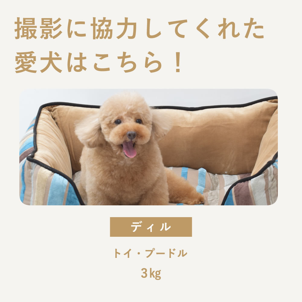  ѥ٥å ٥٥åɥȥ饤ץ٥å M/L ١ ڥΥե