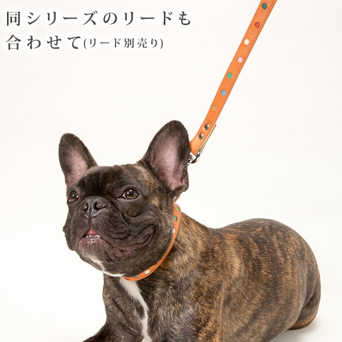 緿ѼءASHUѥƥɥåȥ顼 LBB