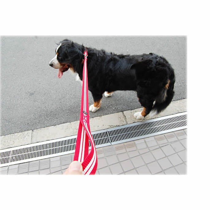 �緿���ѥϡ��ե��硼����ASHU���ġ��饤��ϡ��ե��硼��&�꡼��L��������Ķ�緿���ˤ��б�