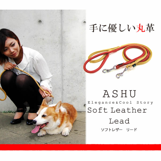 �������ѥ꡼�ɡ�ASHU�����եȥ쥶�����꡼�ɡ�����������