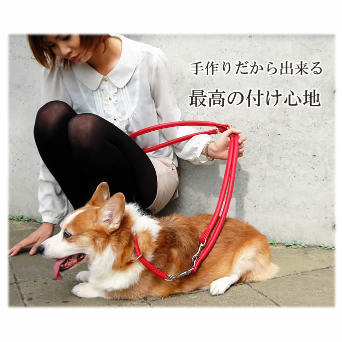 ���Ѽ��ء�ASHU�����եȥ쥶�������硼�����顼�������������̡����������緿����