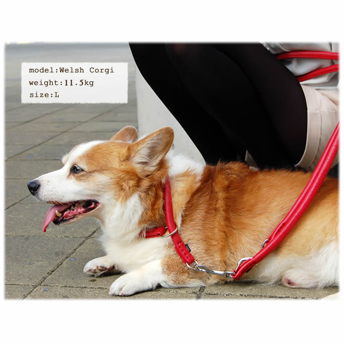 ���Ѽ��ء�ASHU�����եȥ쥶�������硼�����顼�������������̡����������緿����