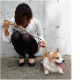 �������ѥ꡼�ɡ�ASHU�����եȥ쥶�����꡼�ɡ�����������