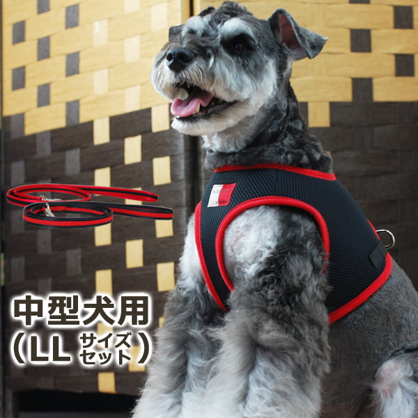 ѥϡͥ꡼ɥåȡASHUϡͥ å꡼ɥåȡLL淿