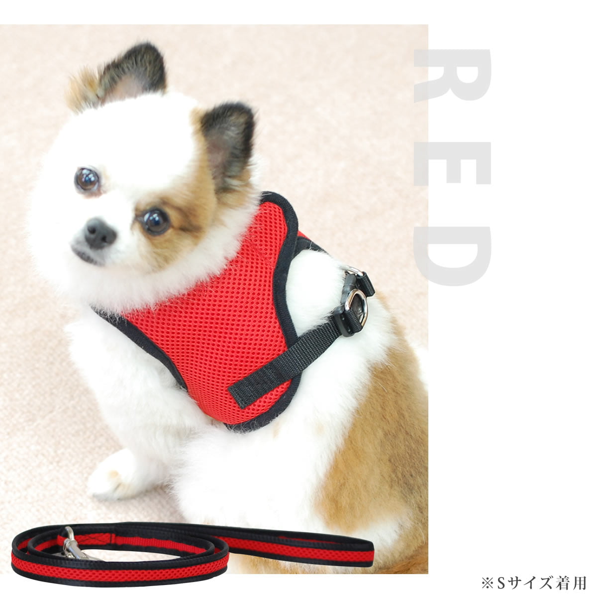 ѥϡͥ꡼ɥåȡASHUϡͥ å꡼ɥåȡLL淿