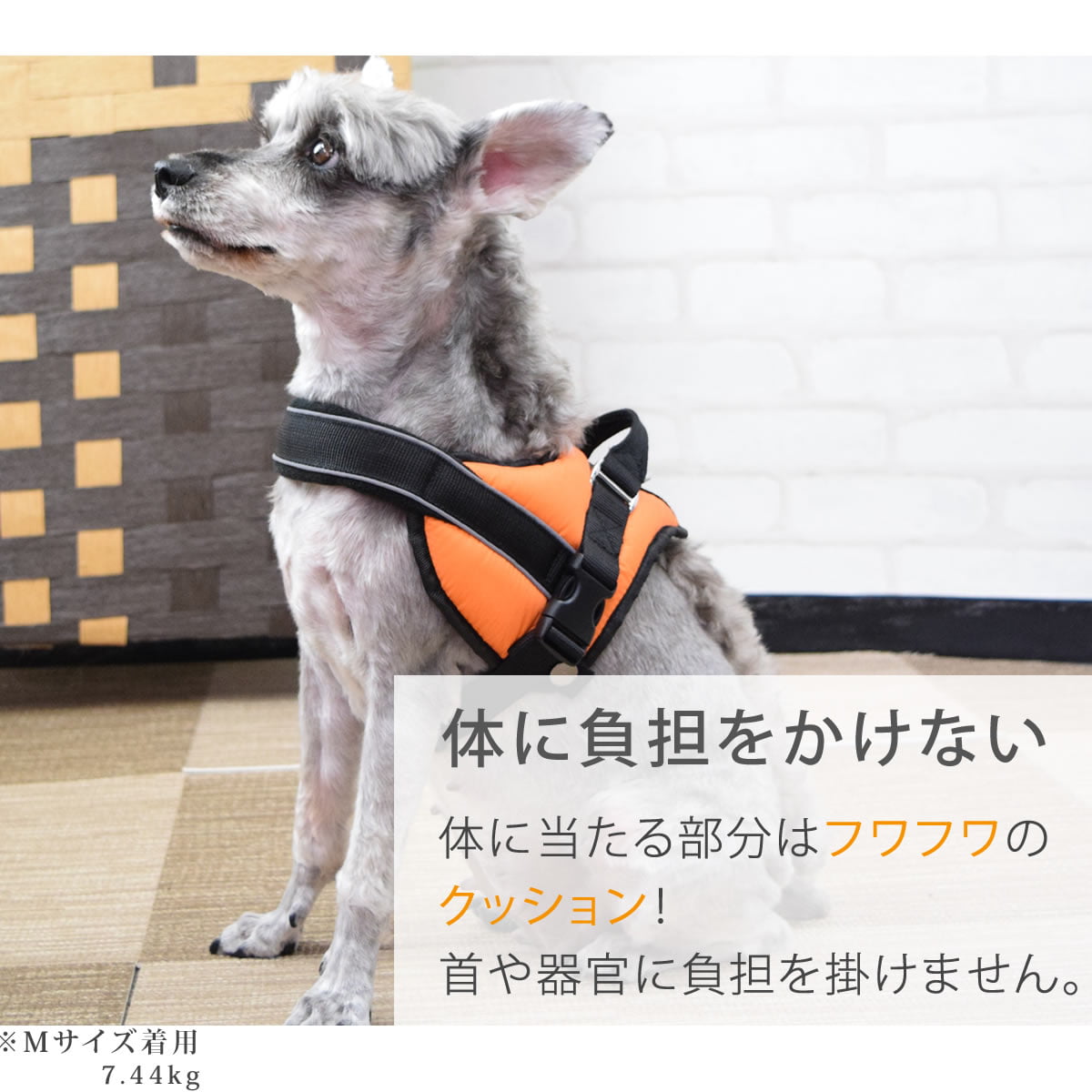 �淿���ѥϡ��ͥ��ü��ͥ�������å����ϡ��ͥ���������M