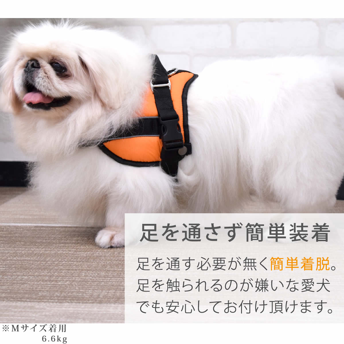 �淿���ѥϡ��ͥ��ü��ͥ�������å����ϡ��ͥ���������M