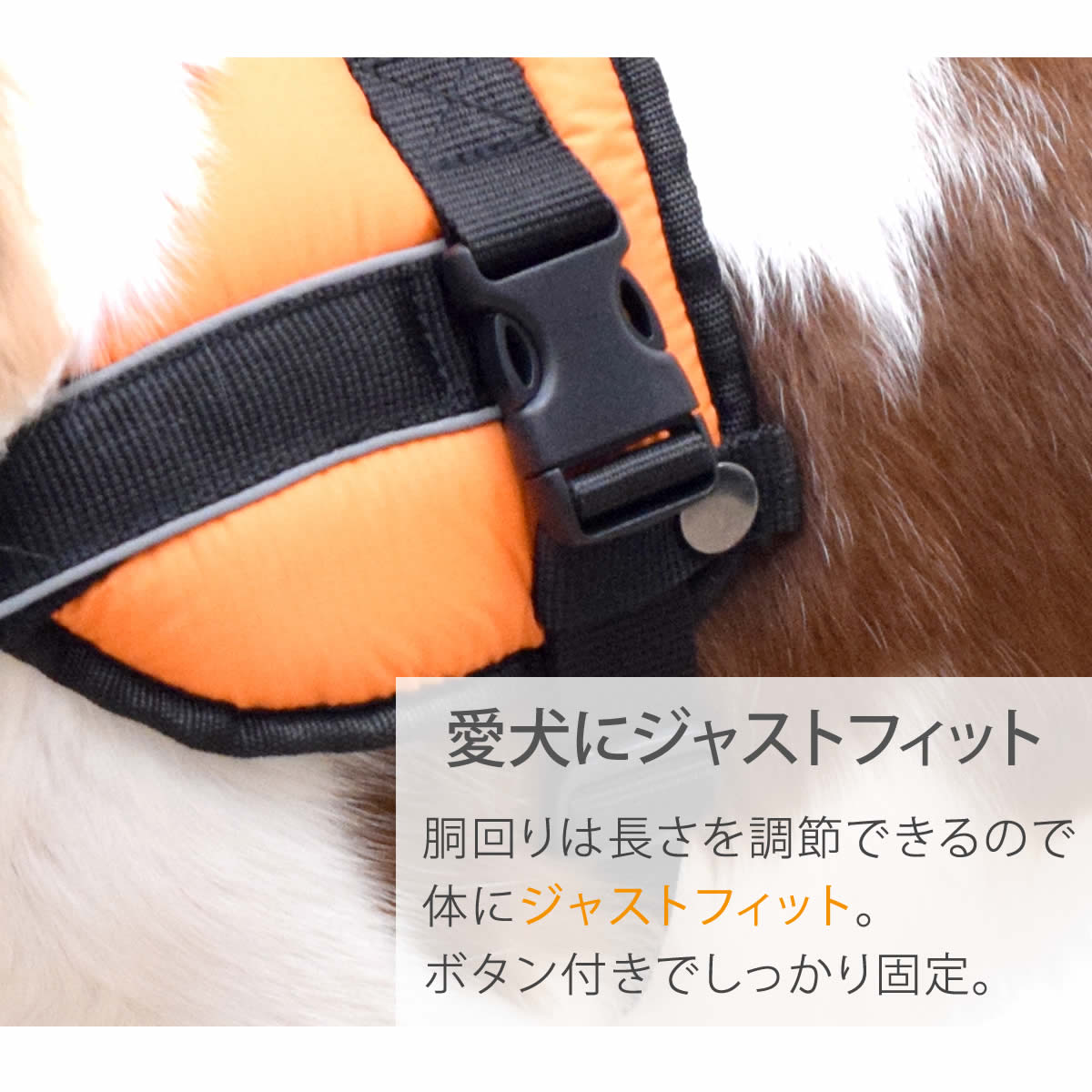 �淿���ѥϡ��ͥ��ü��ͥ�������å����ϡ��ͥ���������M