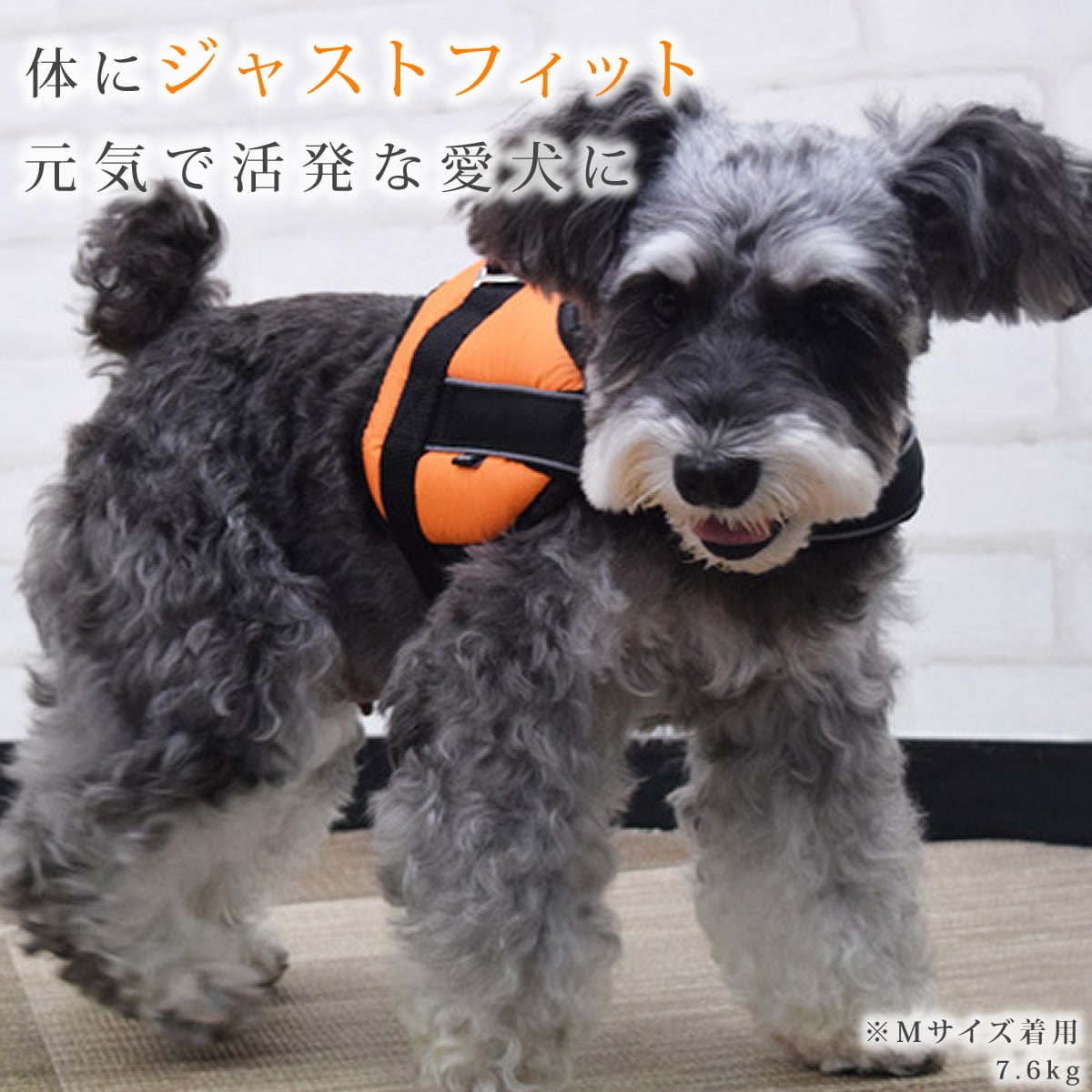 �淿���ѥϡ��ͥ��ü��ͥ�������å����ϡ��ͥ���������M