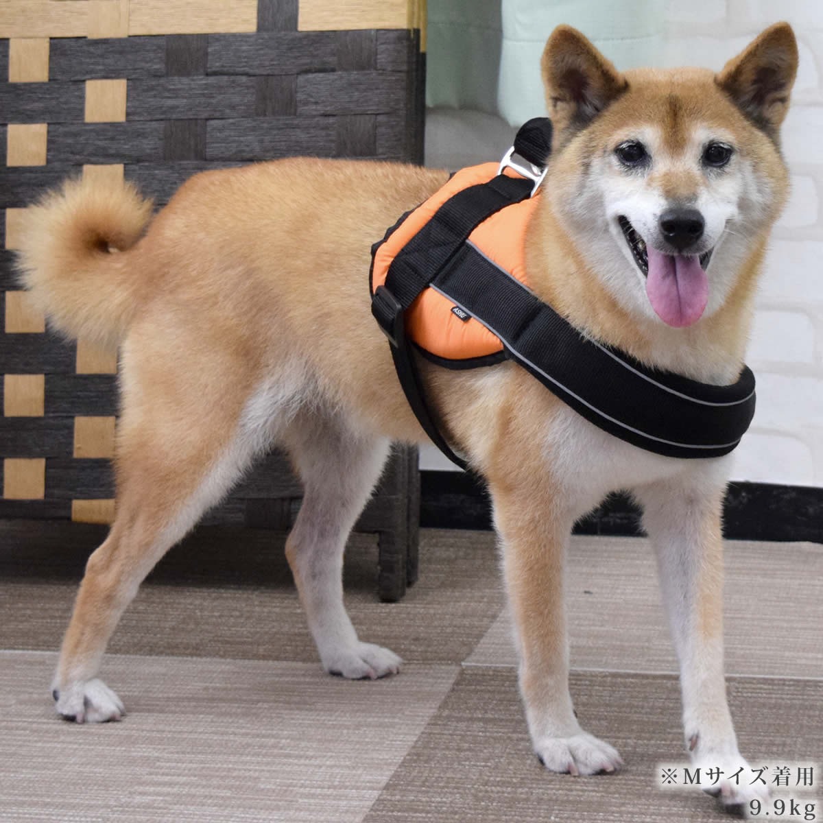 �淿���ѥϡ��ͥ��ü��ͥ�������å����ϡ��ͥ���������M